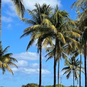 Meet your Posher, Joanna